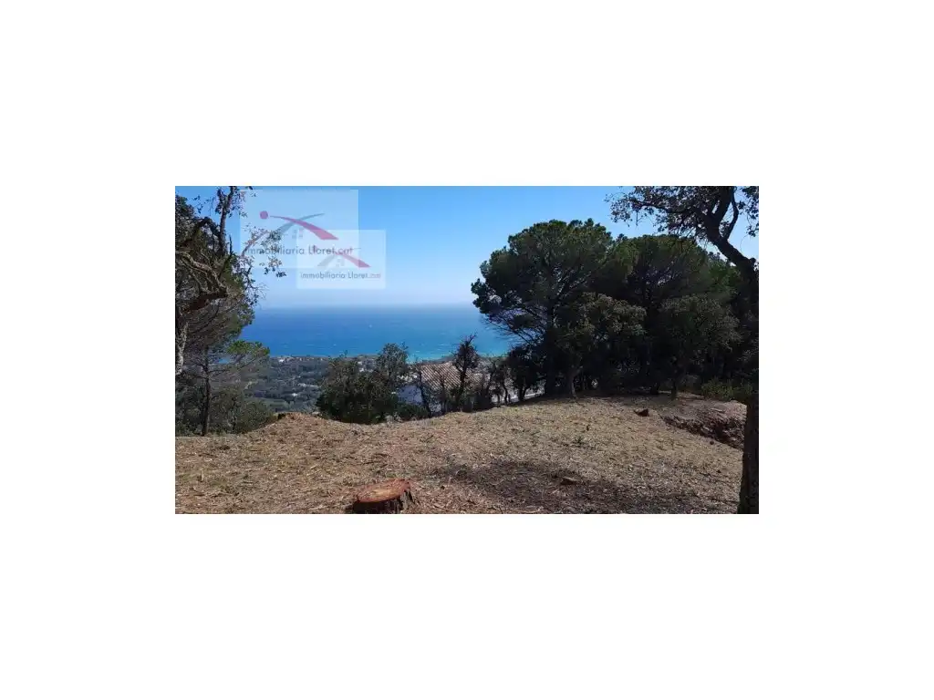 Casa o xalet en venda a Roca Grossa