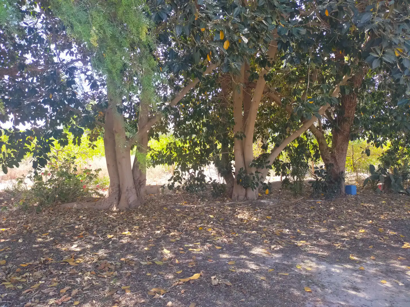 Casa rustica in vendita a Algorós - El Derramador, imagen 3