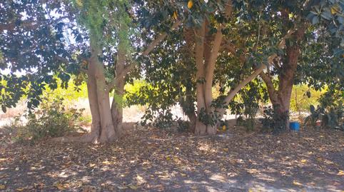 Foto 3 de Finca rústica en venda a Algorós - El Derramador, Alicante