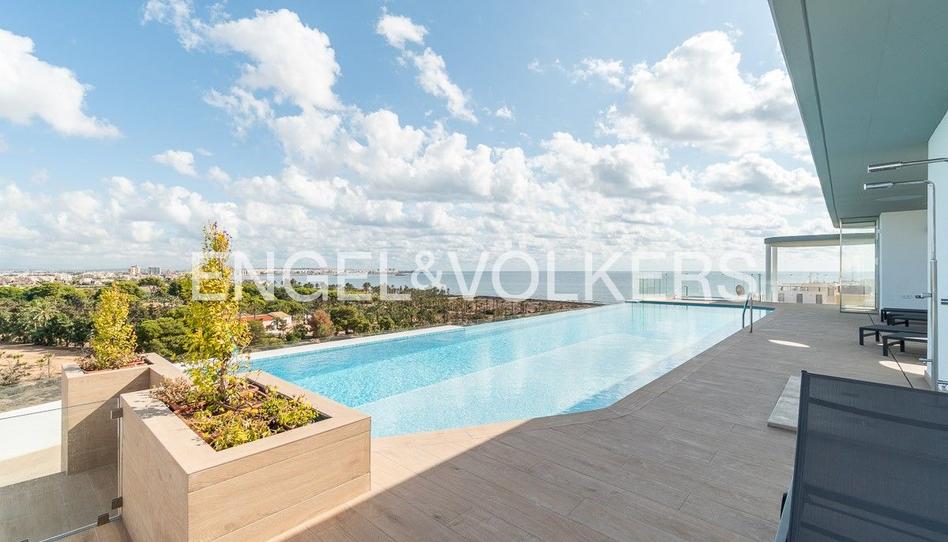 Photo 1 of Apartment to rent in Punta Prima, Alicante