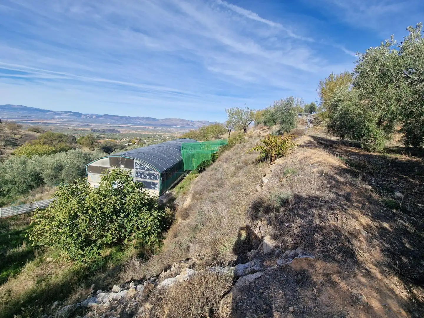 Maison rustique avec jardin à vendre à Cogollos de la Vega, imagen 75