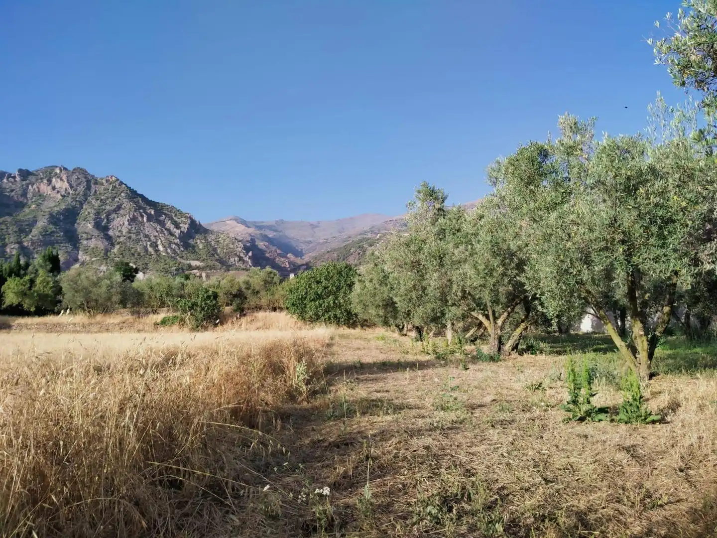 Residencial en venda a Nigüelas