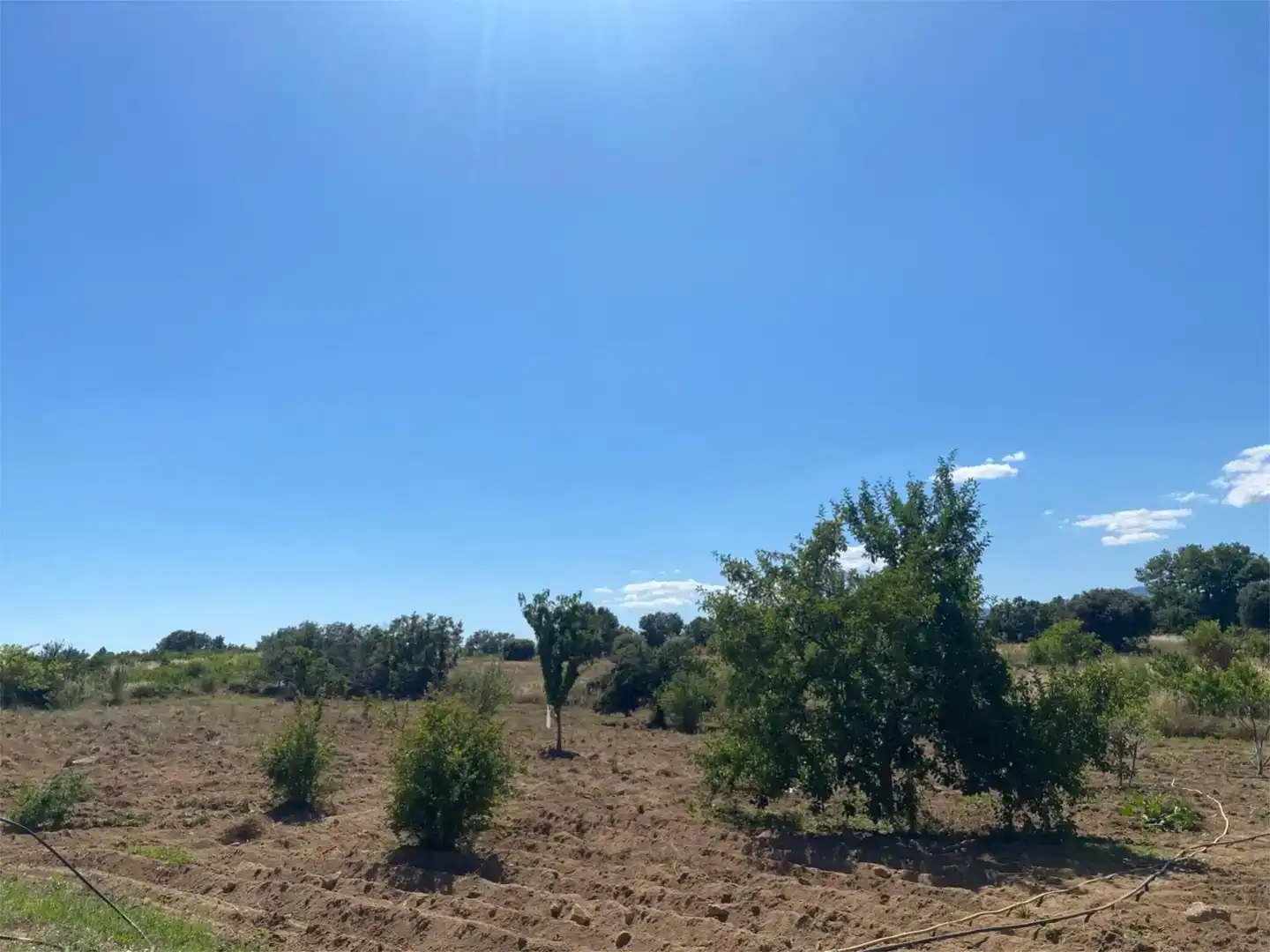 Finca rústica en venda en Colmenar de Montemayor, Salamanca