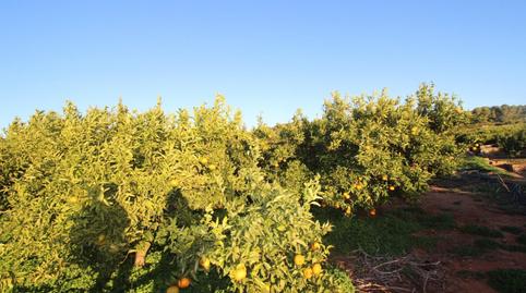Foto 4 de Residencial en venda a Poligono Poligono   3, Doctor Palos - Alto Palancia, Valencia