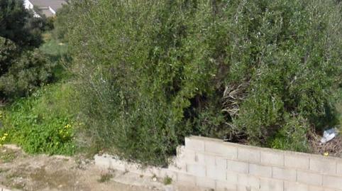 Foto 5 de Residencial en venda a Badia Blava - Badia Gran - Tolleric, Llucmajor