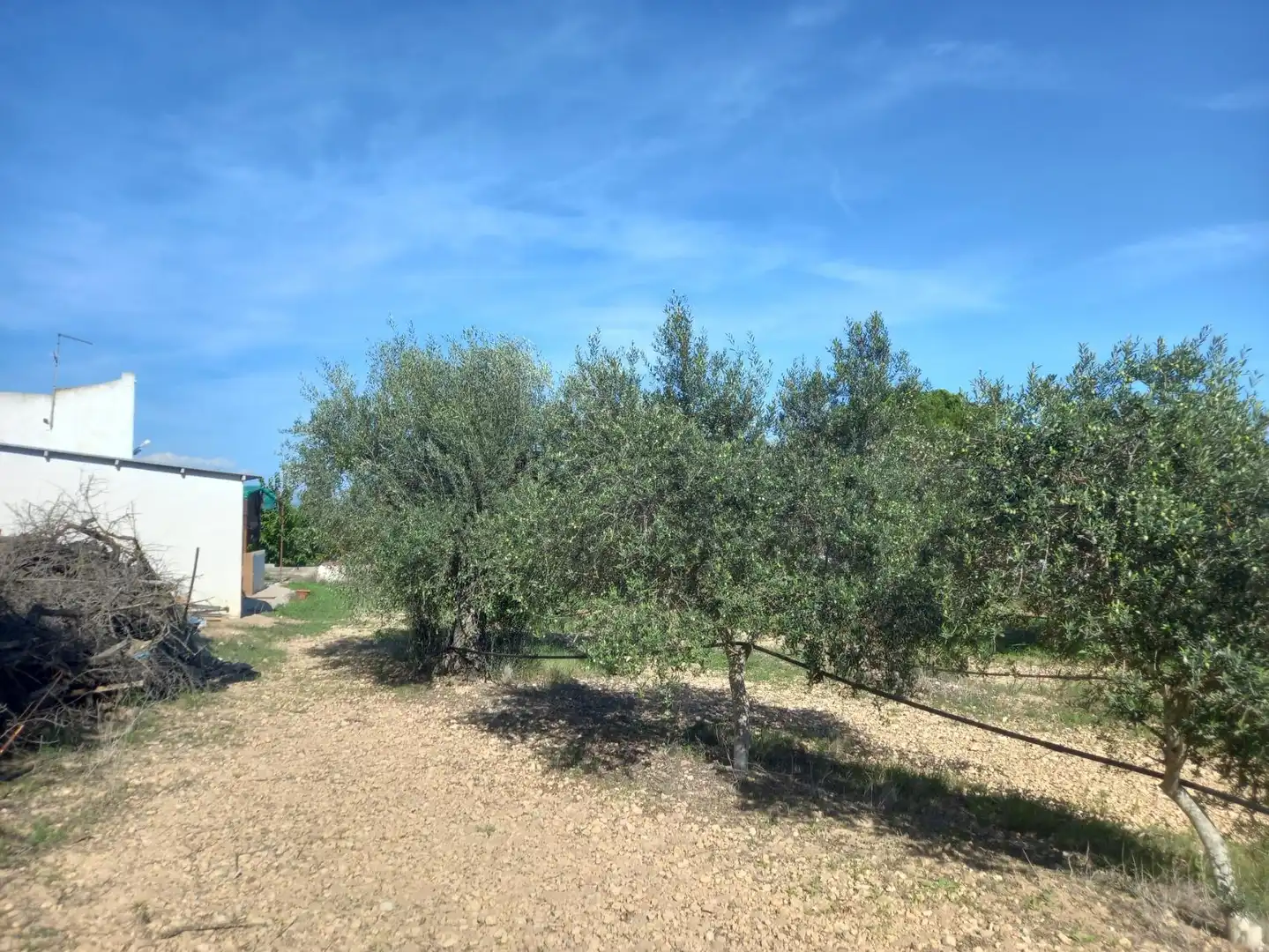 Terreno rústico en venta en Móra d'Ebre, imagen 25