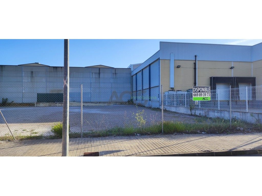 Exterior view of Industrial land for sale in Beneixida