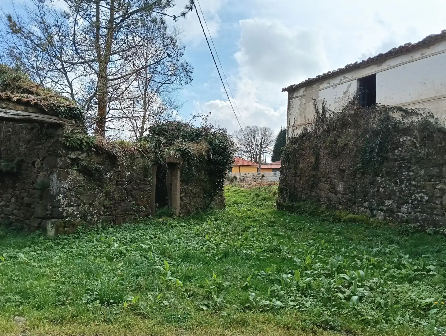 Adossat amb jardí en venda a Avenida Principal, imagen 8