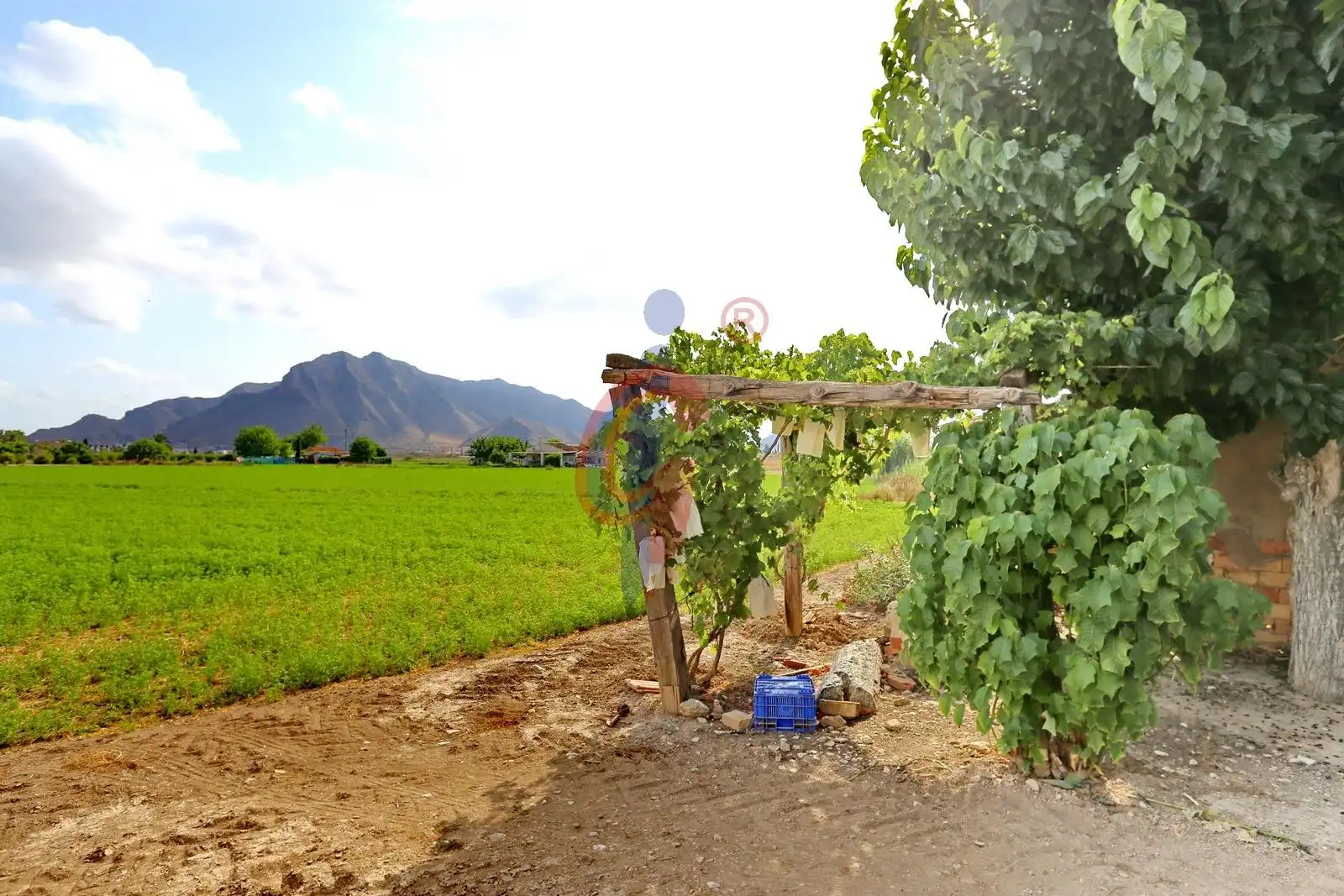 Finca rústica en venda en Callosa de Segura amb Jardí privat