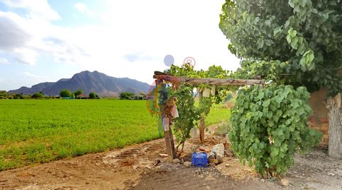 Foto 4 de Finca rústica en venda a Vereda Cañizares, 79, Callosa de Segura, Alicante