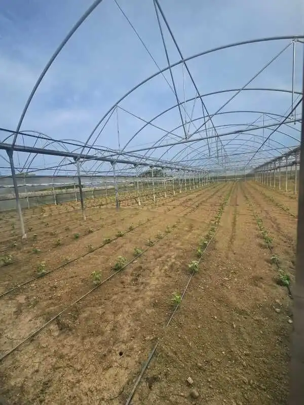 Terrenys i solars en venda a Área Rural, imagen 3