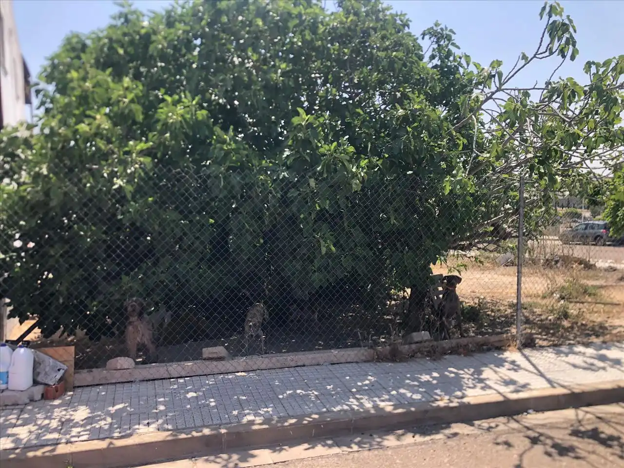 Residential for sale in Camino Viejo de Mirandilla, Lobón