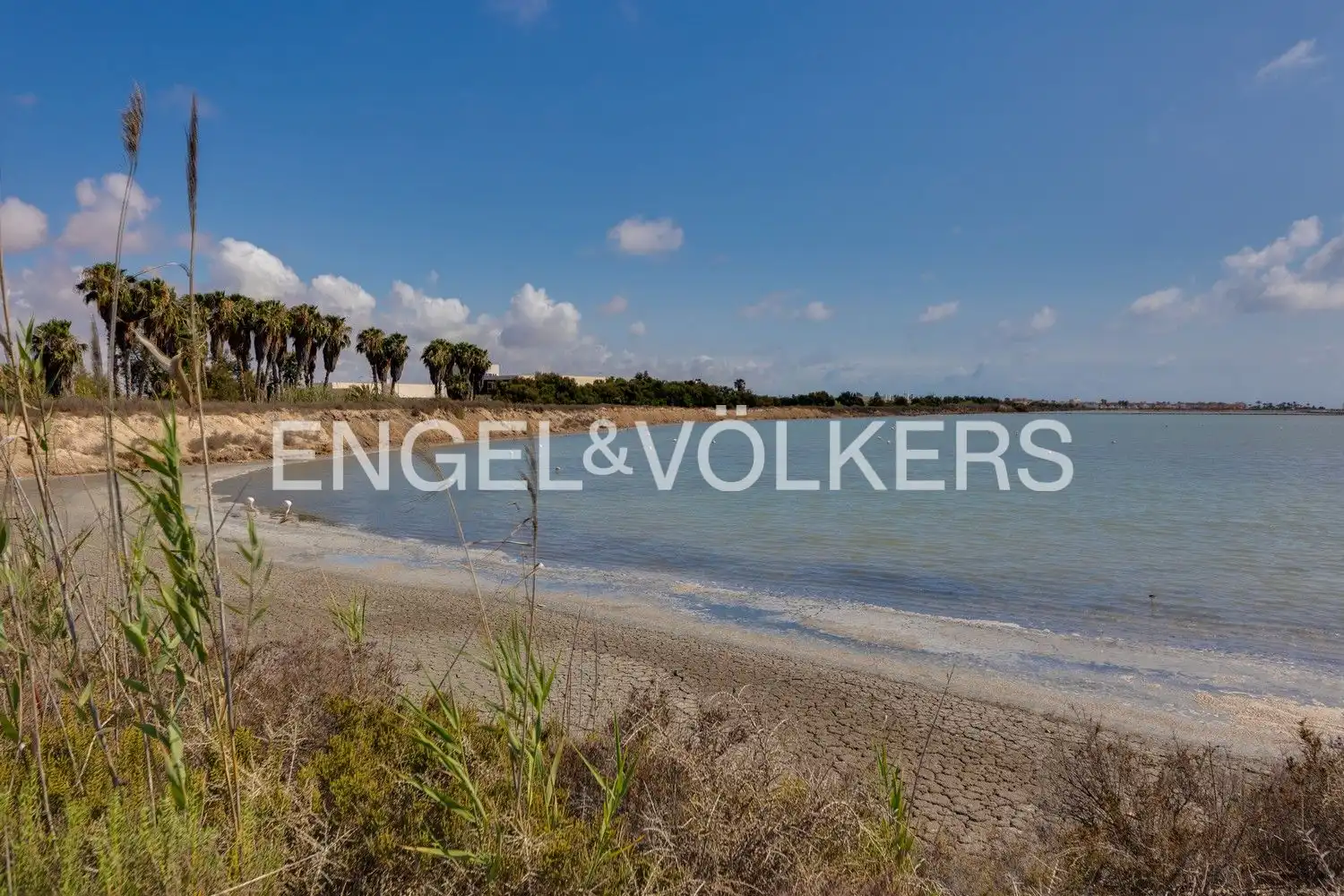 Casa o chalet en venta en San Pedro del Pinatar con Aire acondicionado, Calefacción y Jardín privado