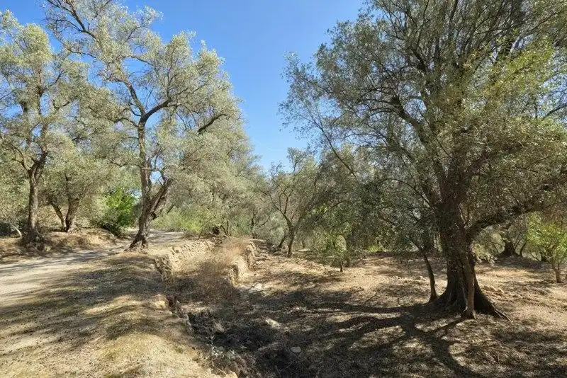 Terreno rustico in vendita a El Pinar, imagen 42