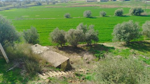 Foto 5 de Finca rústica en venda a Tamarite de Litera, Huesca