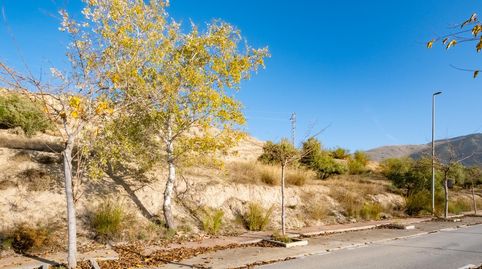 Foto 5 de Terreno industrial en venta en Alfacar, Granada