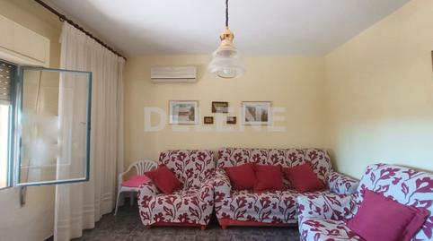 Foto 2 de Finca rústica en venda a Hellín, Albacete