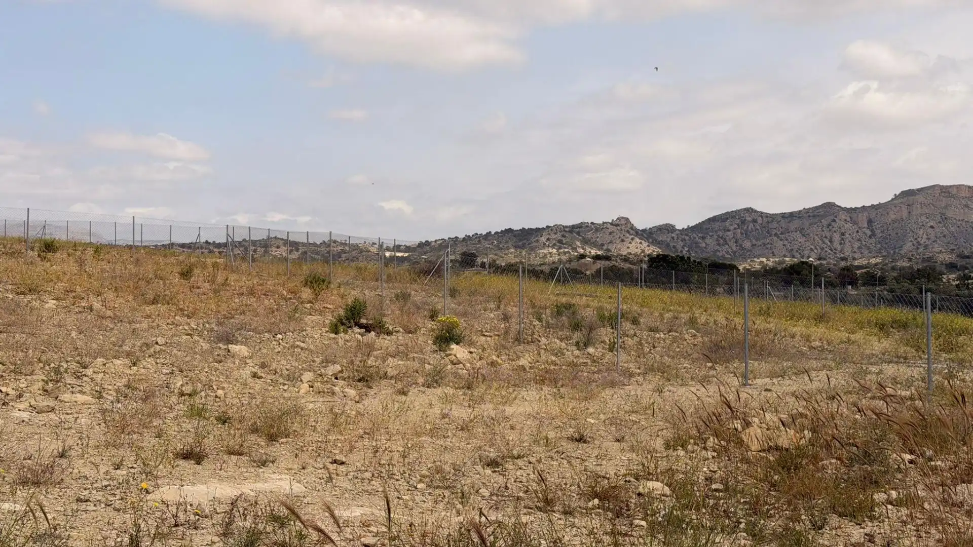 Terreno residencial en venta en Monforte del Cid, imagen 13
