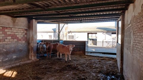 Foto 3 de Terreno en venta en Sueca ciudad, Sueca