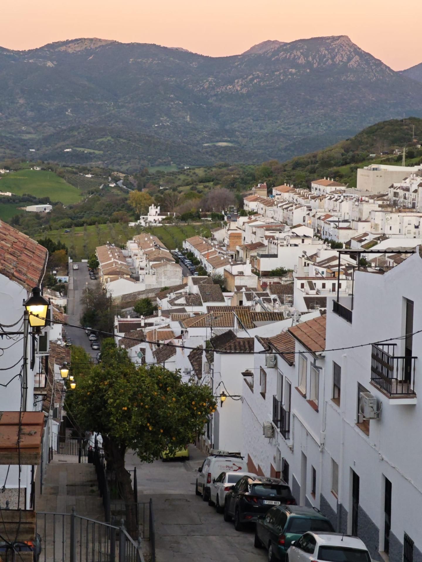 Exterior view of Flat for sale in Prado del Rey  with Air Conditioner, Heating and Alarm