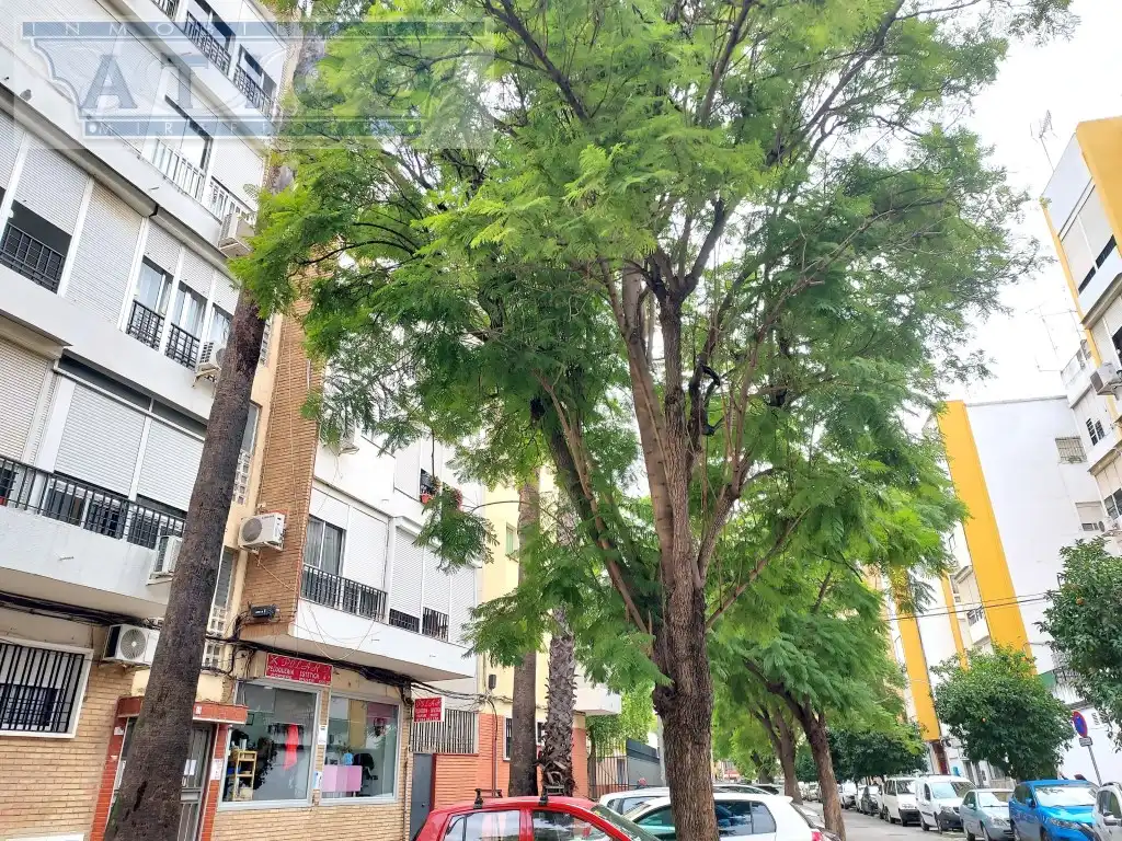 Flat for sale in Cruz Roja