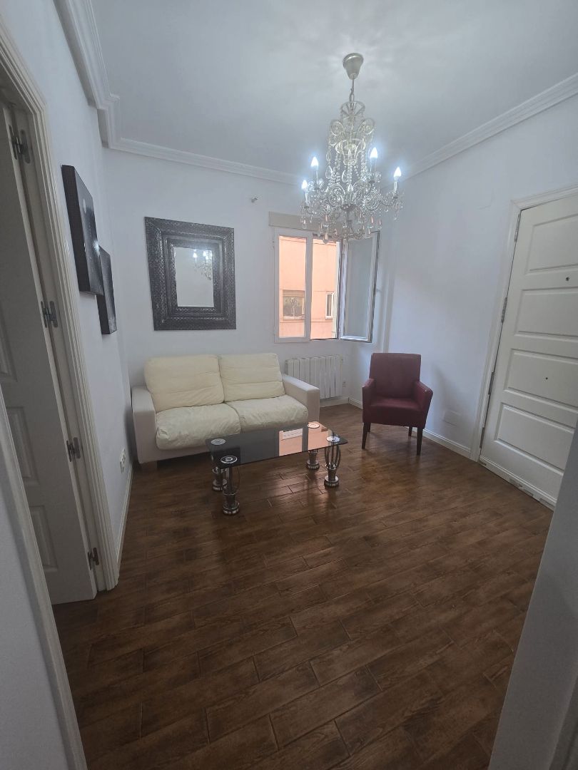Living room of Flat for sale in  Madrid Capital  with Air Conditioner, Heating and Furnished