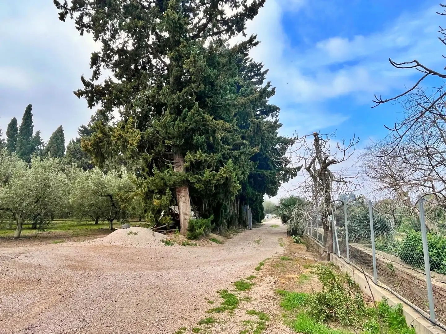 Detached house for sale in Urbanitzacions, imagen 48