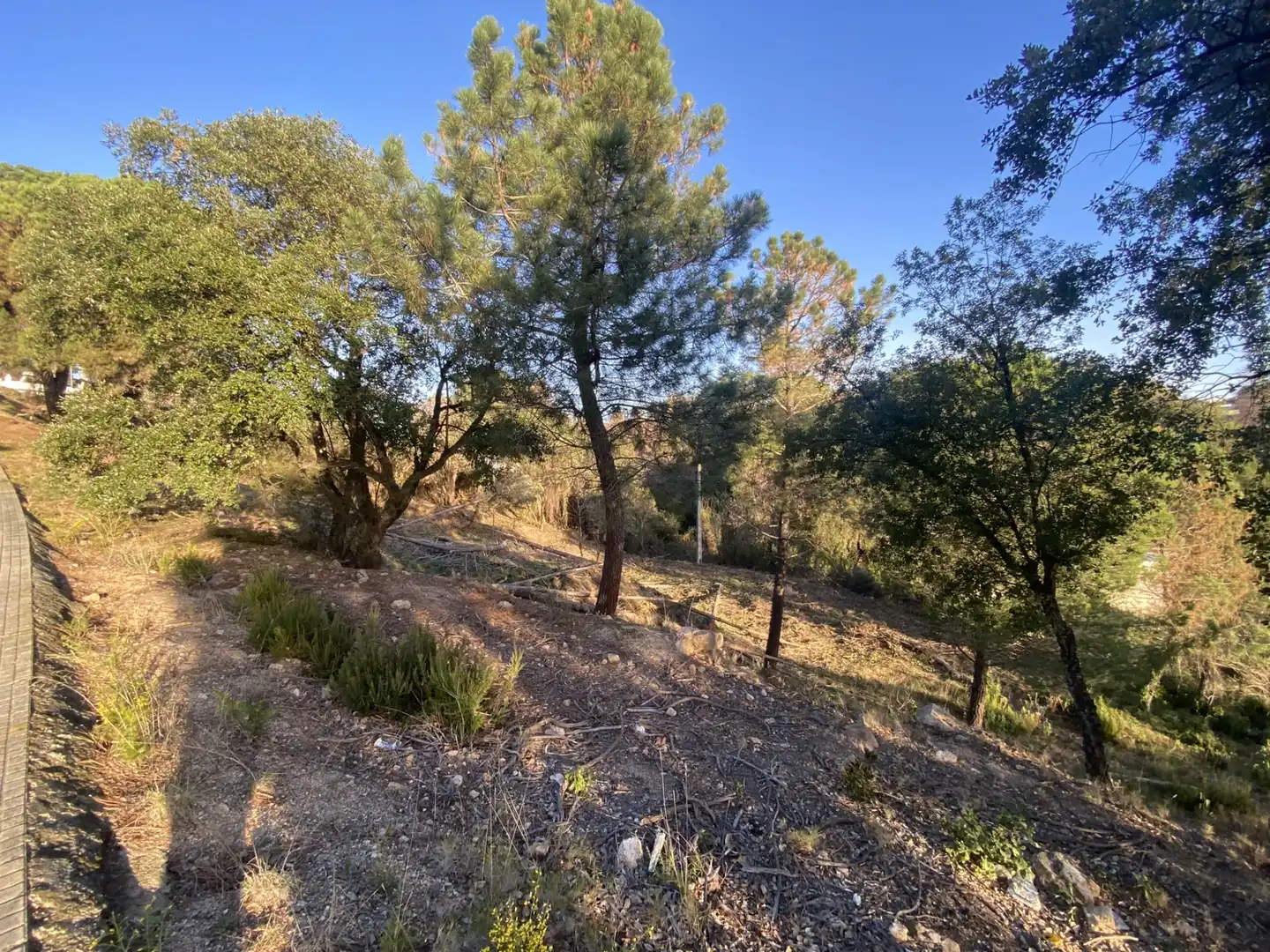 Terreno residencial en venta en Carrer Pi 7, imagen 11