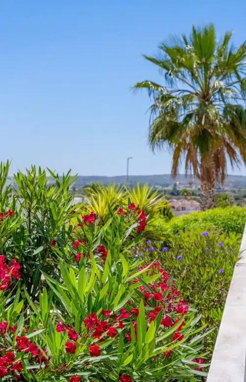 Chalet con piscina en venta en San Fulgencio, imagen 37