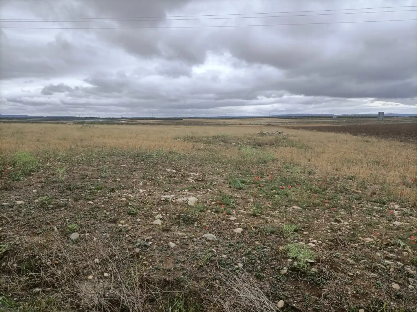 Rural land for sale in Almonacid de Toledo, imagen 4