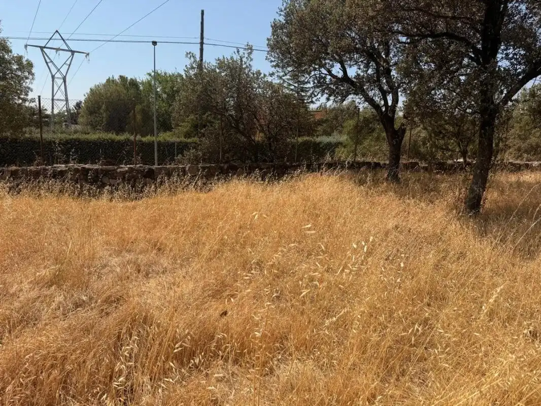 Residential land for sale in Camino de los Barrizales, imagen 4