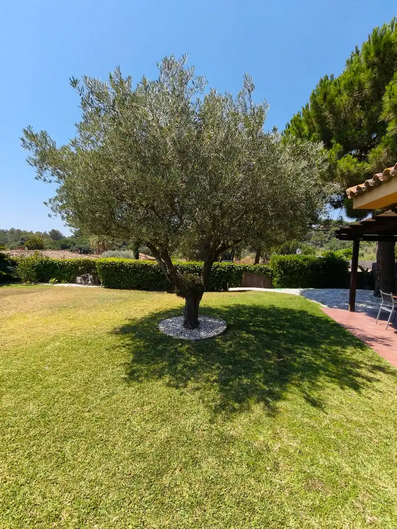 Garden of Houses for sale in Sant Andreu de Llavaneres  with Air Conditioner, Heating and Private garden
