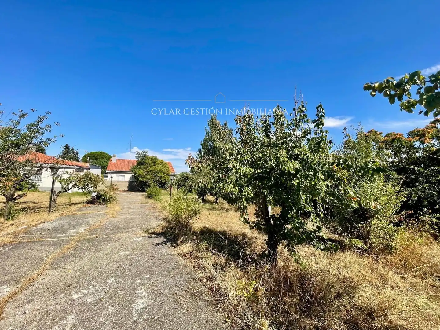 Rural land for sale in ALONDRA, imagen 5