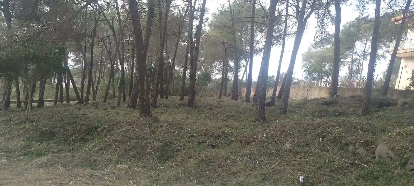 Terreny residencial en venda a Olesa de Bonesvalls, imagen 3