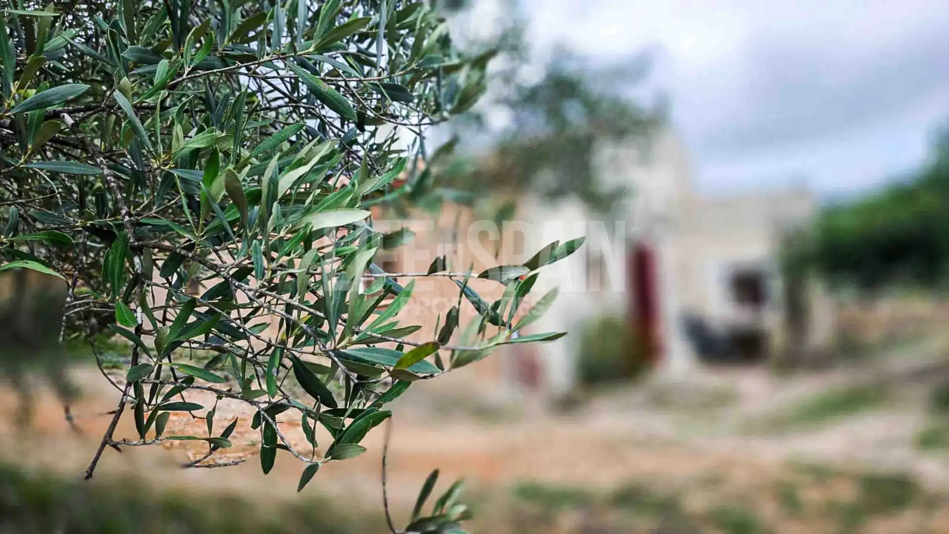Finca rústica en venta en Bítem