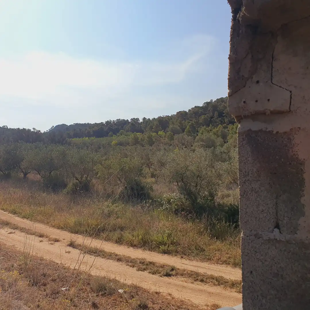 Rustikales Grundstück zum Verkauf in El Pinell de Brai, imagen 40