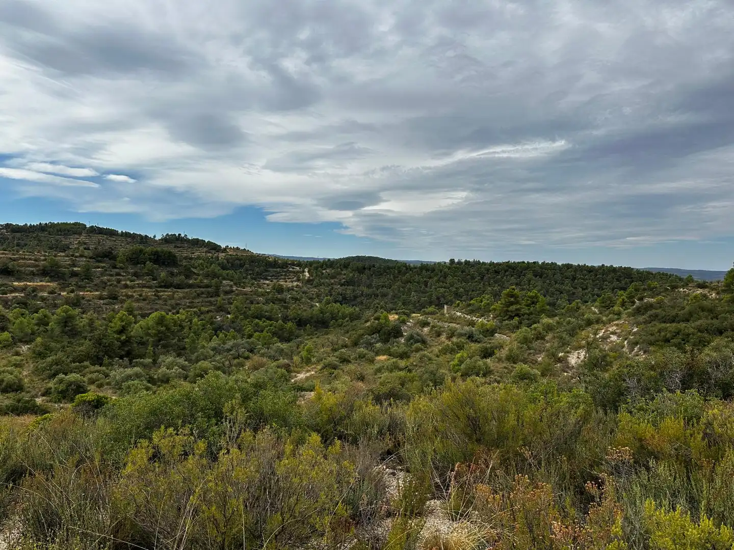 Terreny rústic en venda a Cervià de Les Garrigues, imagen 20