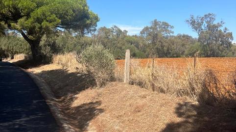 Foto 2 de Residencial en venda a La Muela, Cádiz