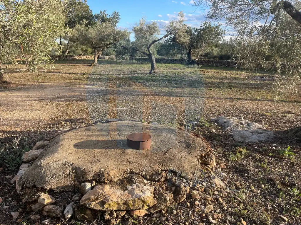 Country house for sale in L'Ampolla, imagen 6