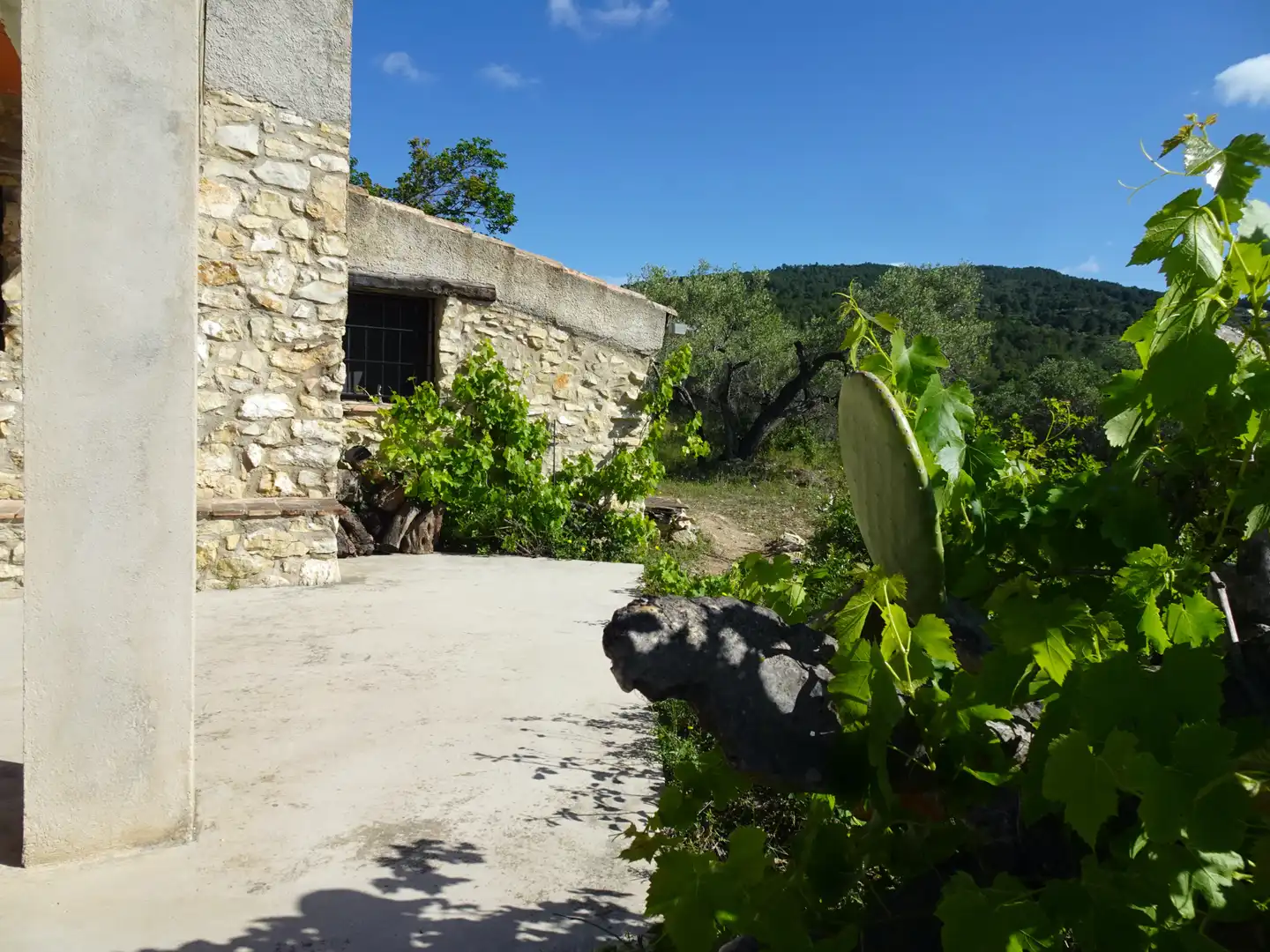 Vista exterior de Finca rústica en venta en El Perelló