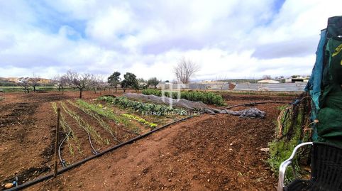 Foto 5 de Finca rústica en venda a Moraleda de Zafayona, Granada