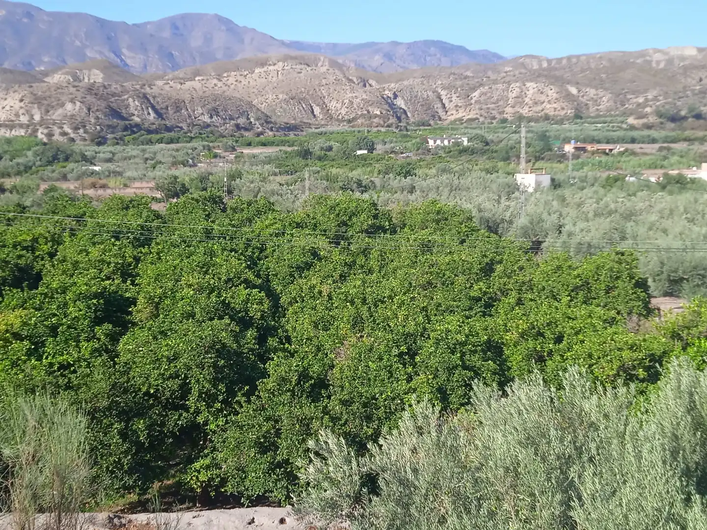 Terreno en venta en Santa Cruz de Marchena