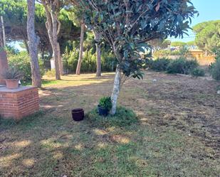 Jardí de Casa o xalet de lloguer en Chiclana de la Frontera