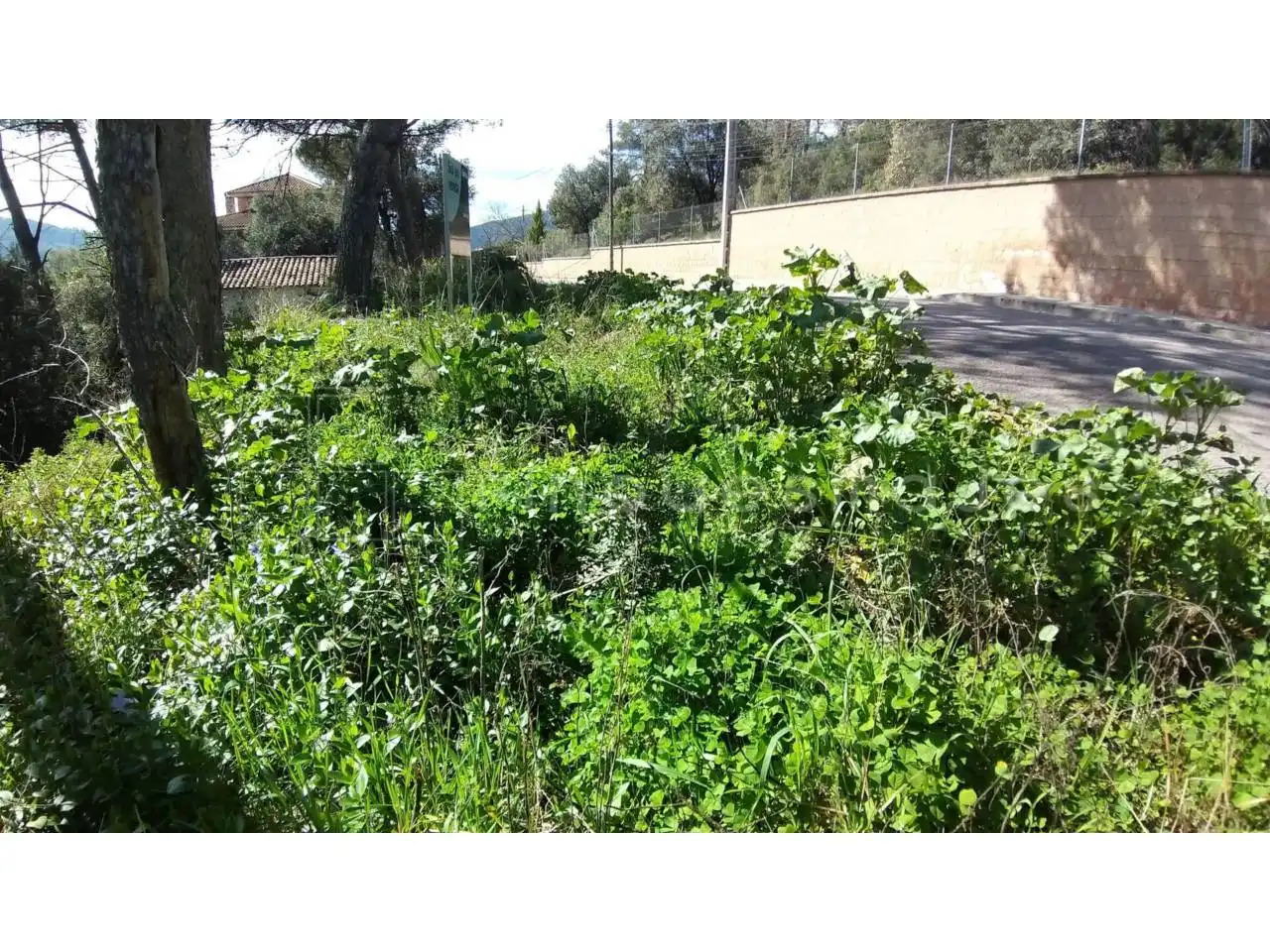 Terreno residencial en venta en Paseo Estació de Torreblanca, imagen 5