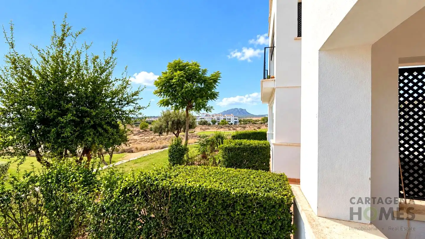 Ground floor with pool for sale in Calle Atlántico 1, imagen 32