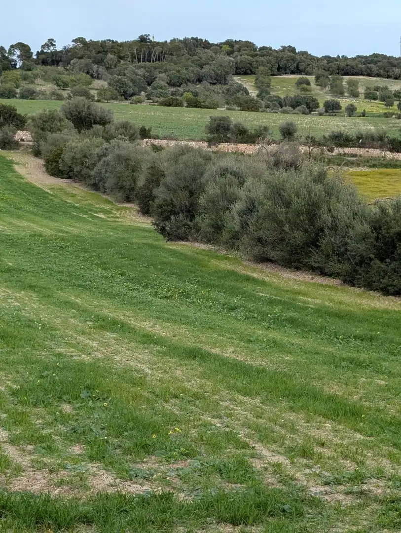 Rustikales Grundstück zum Verkauf in Llubí