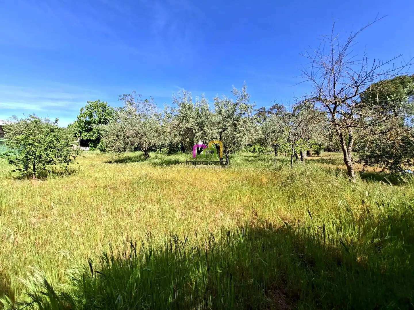 Country house zum Verkauf in Badajoz mit Terrasse, Abstellraum und Schwimmbad