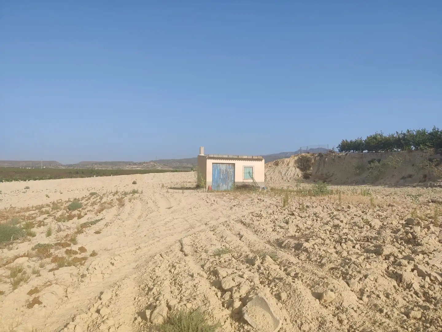 Land for sale in Ojós