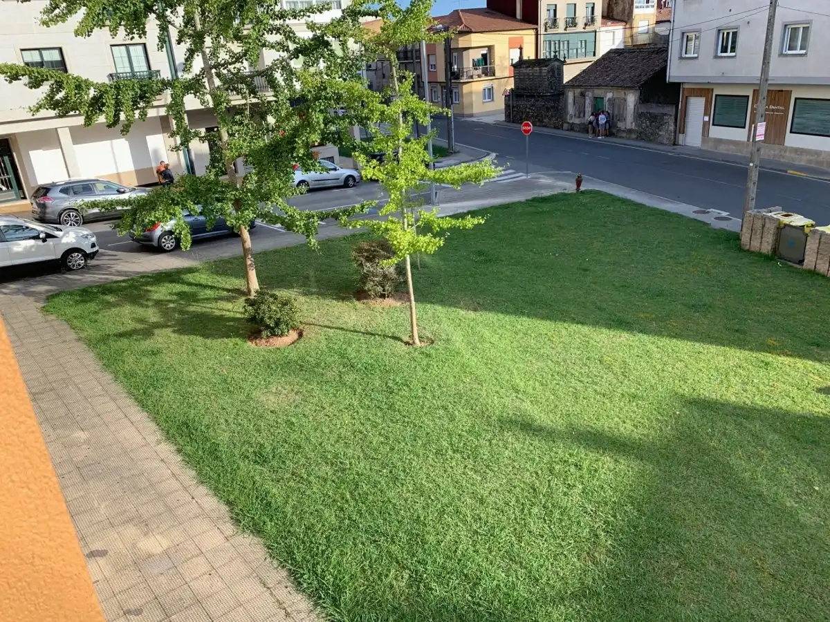 Jardí de Local en venda en Rianxo