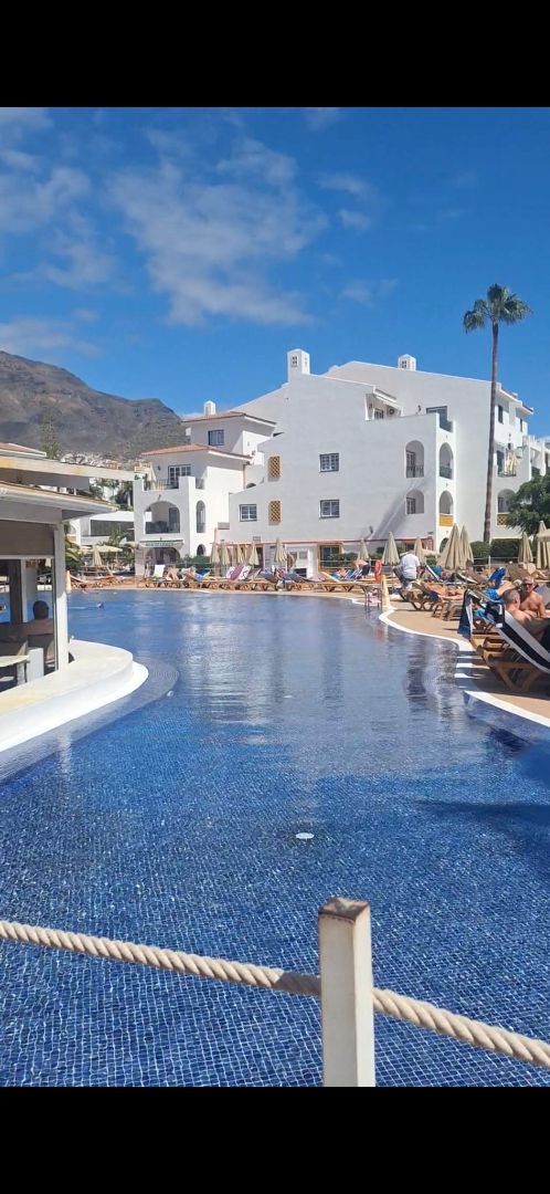 Swimming pool of Study for sale in Adeje  with Terrace, Furnished and Washing machine